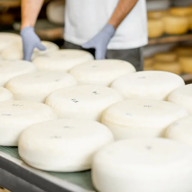Savourez des pizzas maison aux saveurs authentiques chez ChezMeliss.